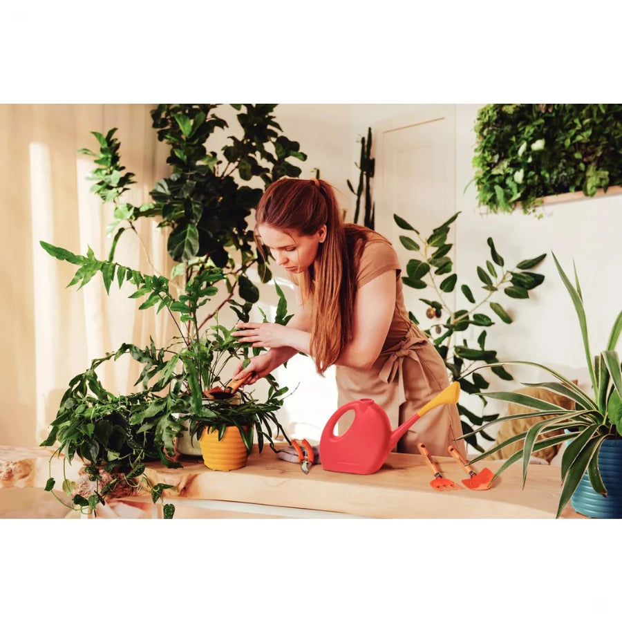 Kit de Jardinagem Tramontina – Pazinha e Ancinho para Plantas e Vasos